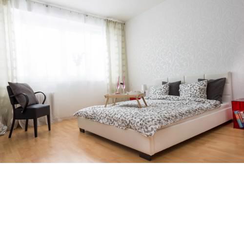 Old Town Apartment Pellicova