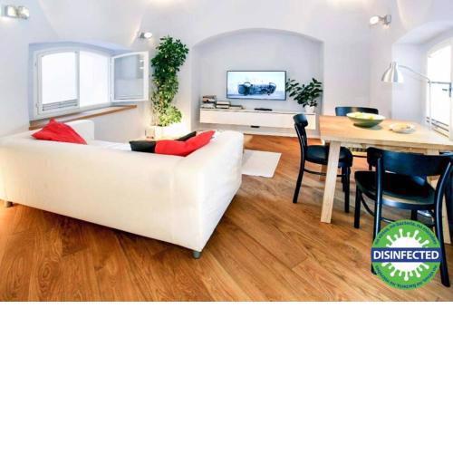 Old Town Unique Premium Apartment