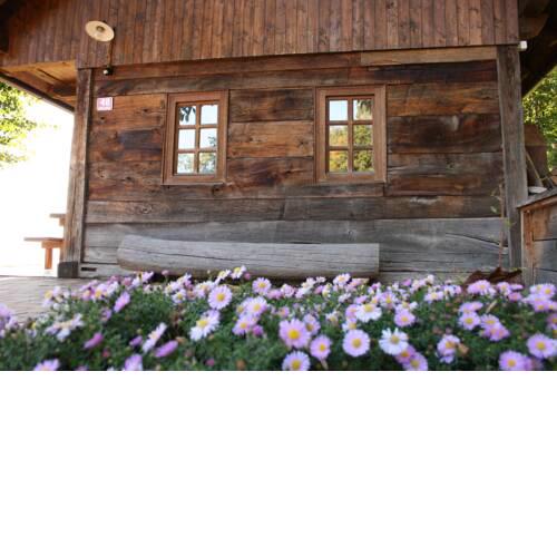 Oldhouse Knezovo