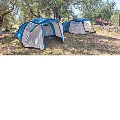 Olive Camping