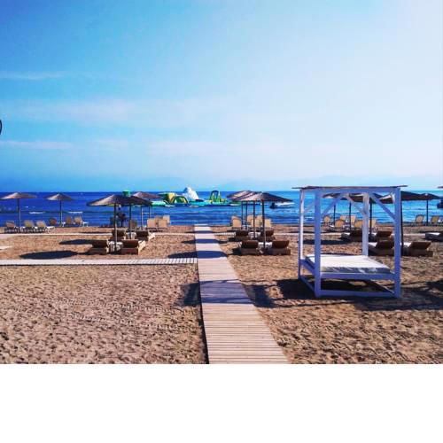 Olive Grove Beachfront