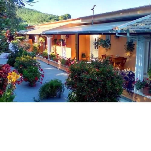Olive Grove Studios