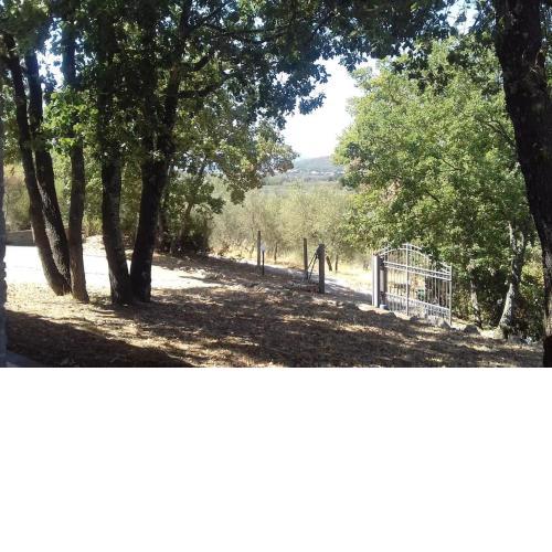 Olive Grove Villa to Recharge&Relax