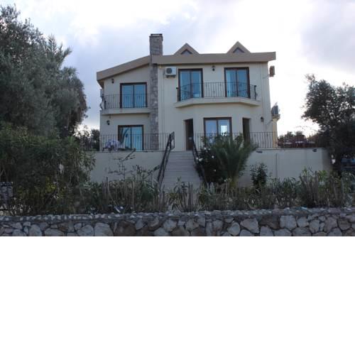 Olive Grove Villa