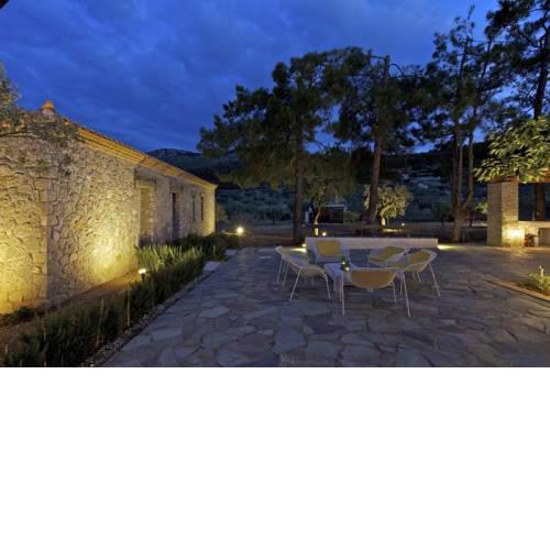 Olive grove with a farm house