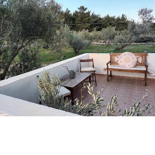 Olive & Home