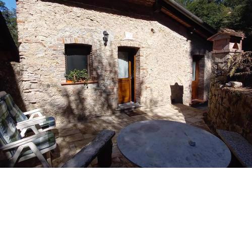 Olive mill in the heart of Camaiore