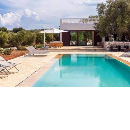 Olive Oasis
