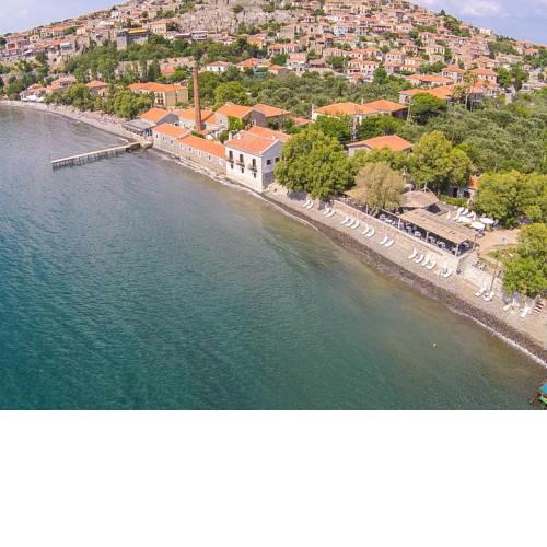 Olive Press Hotel & Apartments