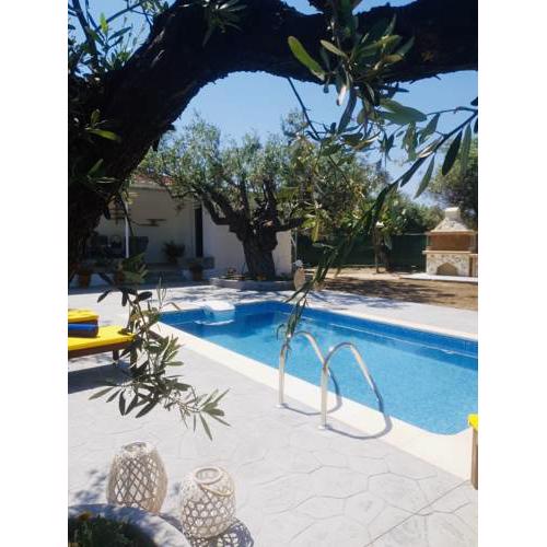 Olive Sense Villa