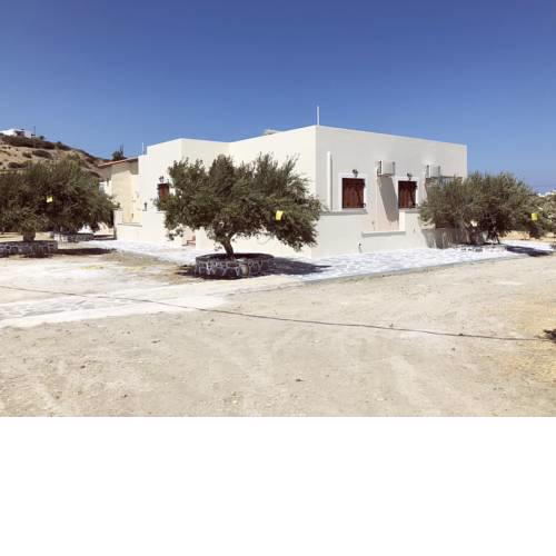 Olive Studios