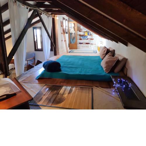 Olive tree house