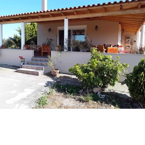 Olive Tree House