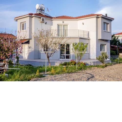 Olive Tree Villa