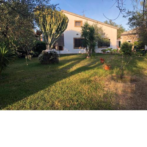 Olive tree villa