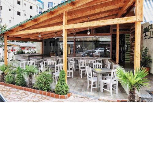 Olive Tree