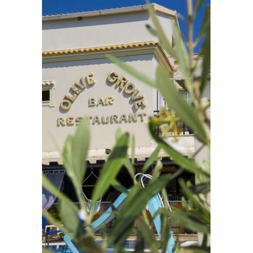 olivegrove