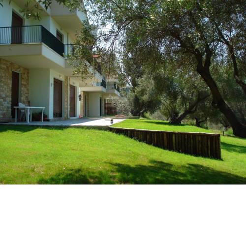 Oliveto