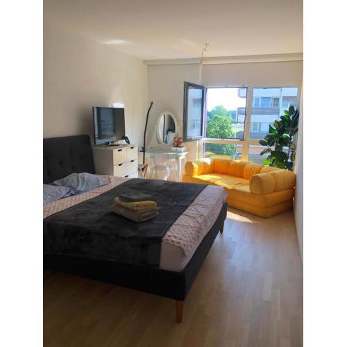 One bedroom 3pieces entire Modern Appartment close to Airport, CERN, Palexpo, public transport to the center of Geneva