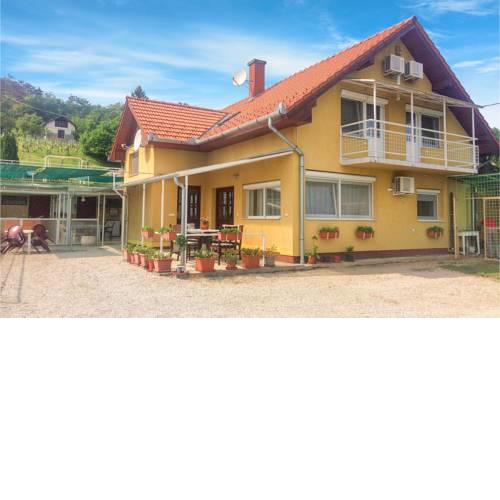 One-Bedroom Apartment in Balatongyorok