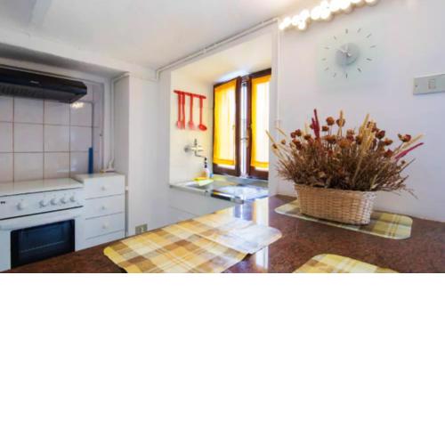 One bedroom appartement with city view enclosed garden and wifi at Asti
