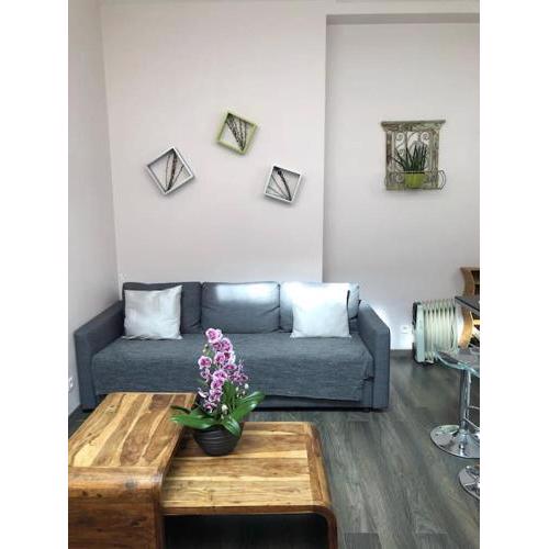 One bedroom in paris metro Tolbiac