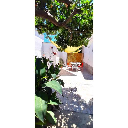 Orange House- Near The Beach