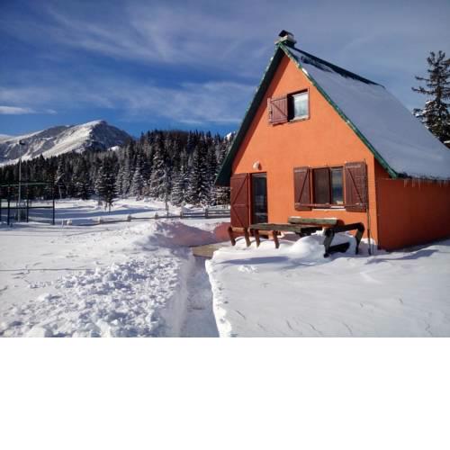 Orange House In Nature