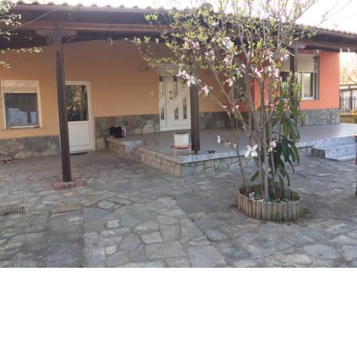 Orange Villa