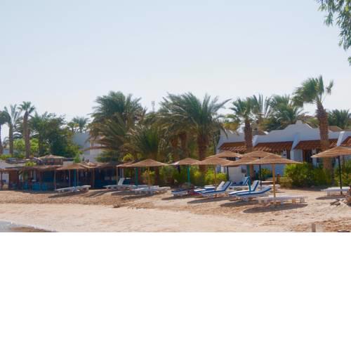 Orca Village
