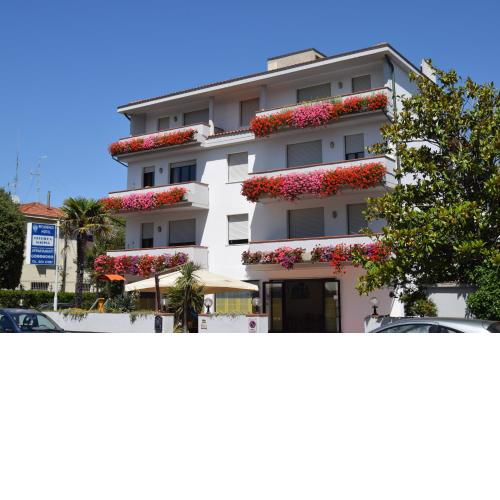 Orchidea Marina