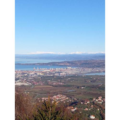 orlovo gnezdo