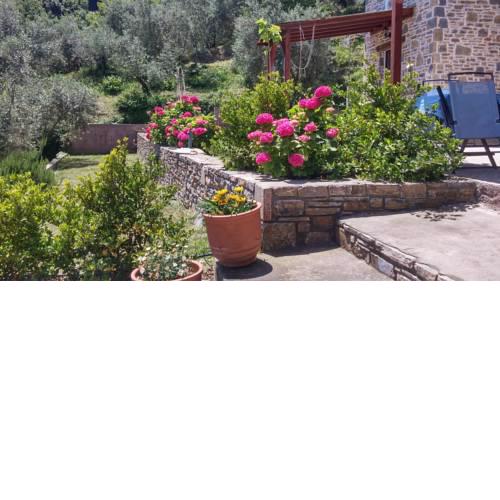 Orly's Villas