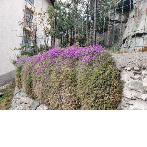 Ormea nel cuore