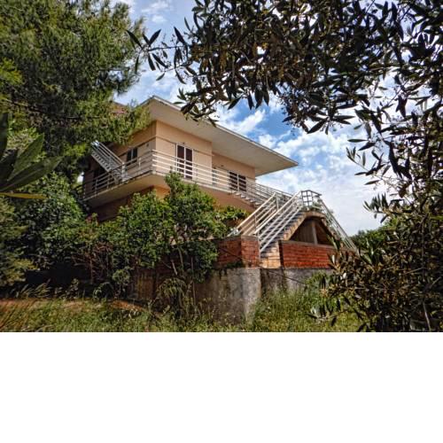 ozena home