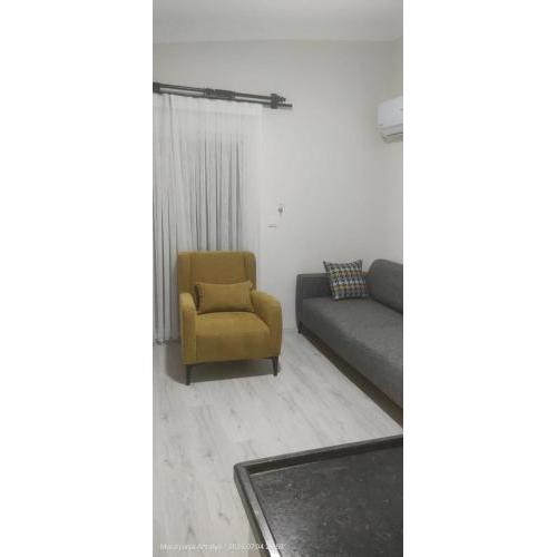 Özmen House