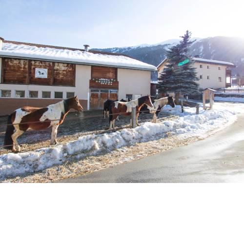 Paclera Hof Agrotourismus