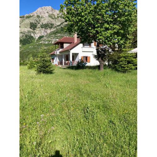Paja Guesthouse - Camping