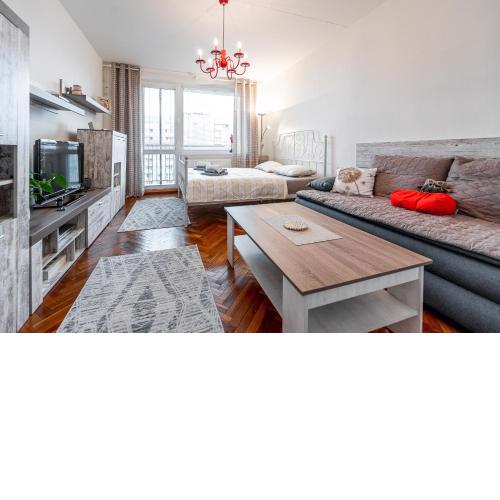 Palarikova Whole Apartment in Center