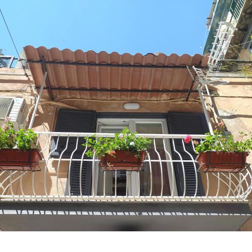 Palazzetto 305