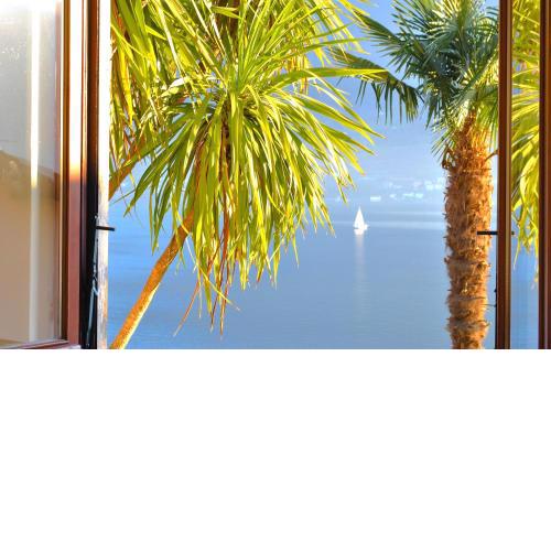 Palm Bay Garden