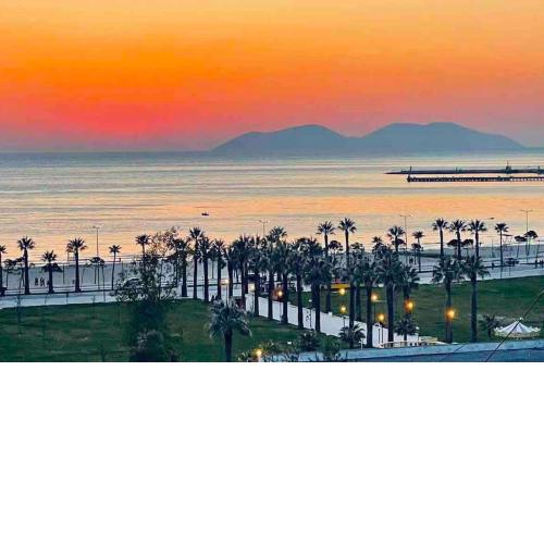 Palm Beach - perfect location and sea view.