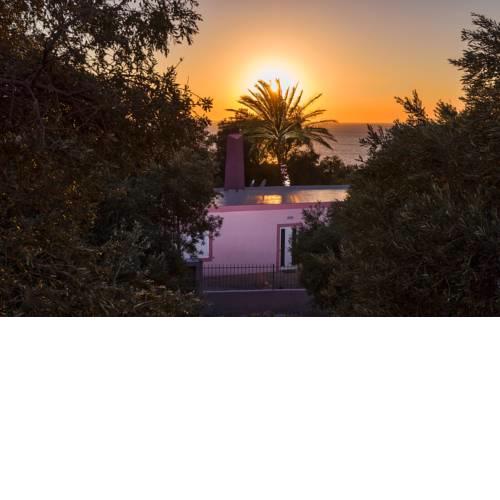 Palm Beach House