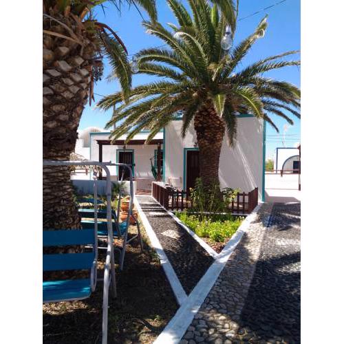Palm Studios