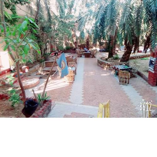 Palm Trees Hotel