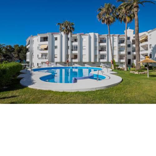 Palmeras Playa Centro Nerja Canovas