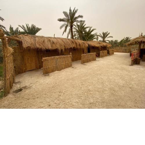 Paloma Camp