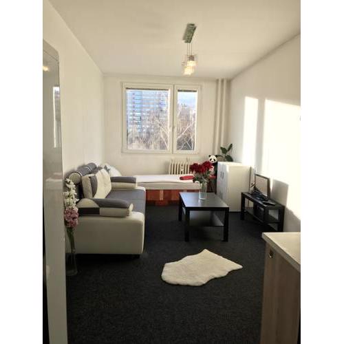 PANDA apartment