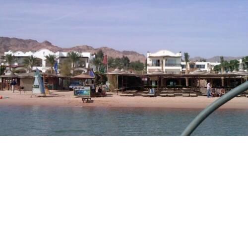 Panda resort