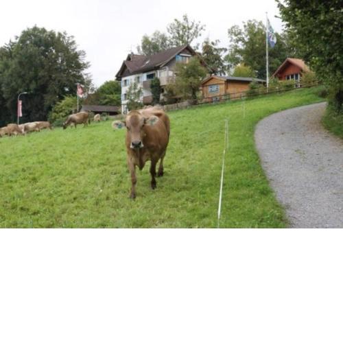 Panorama Blick